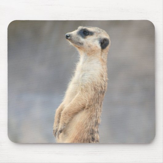 Cute Meerkat Muismat (Voorkant)