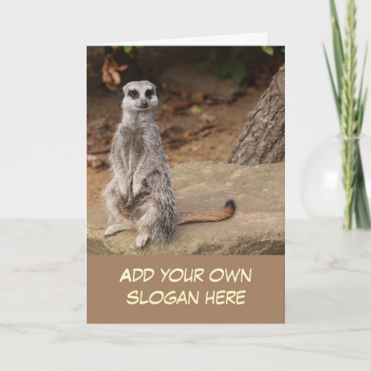 Cute Meerkat Photo to Customise jezelf Kaart (Voorkant)