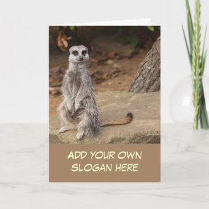 Cute Meerkat Photo to Customise jezelf Kaart