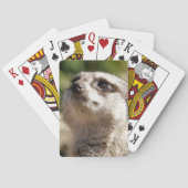CUTE MEERKAT POKERKAARTEN (Achterkant)