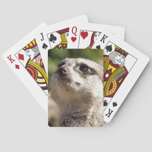 CUTE MEERKAT POKERKAARTEN (Achterkant)