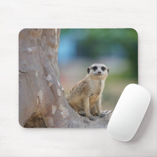 Cute Meerkat Sat on Tree Muismat (Met muis)
