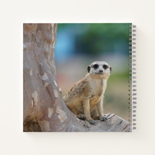 Cute Meerkat Sat on Tree Notitieboek (Achterkant)
