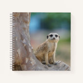 Cute Meerkat Sat on Tree Notitieboek (Voorkant)