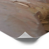 Cute Meerkat Sat on Tree Poster (Hoek)