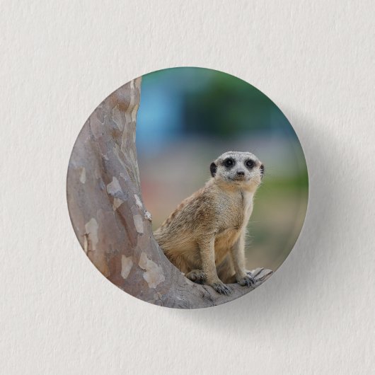 Cute Meerkat Sat on Tree Ronde Button 3,2 Cm (Voorkant)