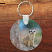 Cute Meerkat Sat on Tree Sleutelhanger (Voorkant)