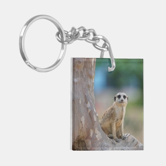 Cute Meerkat Sat on Tree Sleutelhanger (Voorkant Links)
