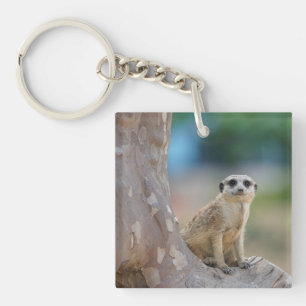 Cute Meerkat Sat on Tree Sleutelhanger