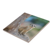 Cute Meerkat Sat on Tree Tegeltje (Zijkant)