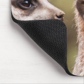 Cute Meerkats Foto gepersonaliseerd Muismat (Hoek)