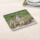 Cute Meerkats Kartonnen Onderzetters (Schuin)