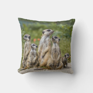 Cute Meerkats Kussen
