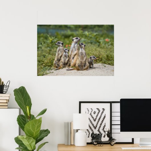 Cute Meerkats Poster (Thuiskantoor)