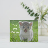 Cute Meow Kitten Tiny, maar Fierce Briefkaart (Staand voorkant)