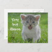 Cute Meow Kitten Tiny, maar Fierce Briefkaart (Voorkant / Achterkant)