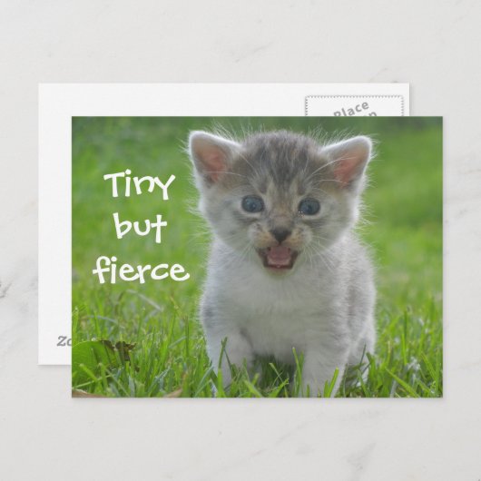 Cute Meow Kitten Tiny, maar Fierce Briefkaart (Voorkant / Achterkant)