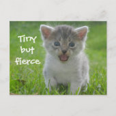Cute Meow Kitten Tiny, maar Fierce Briefkaart (Voorkant)