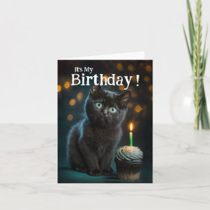 Cute Meowy Birthday Invitation, 
