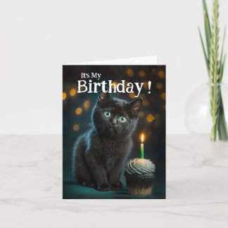 Cute Meowy Birthday Invitation, 
