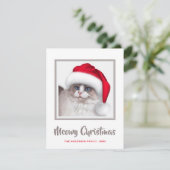 Cute Meowy kerstkat en Santa Hat Feestdagenkaart (Staand voorkant)