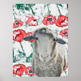 Cute Merino Sheep Animal Red Poppy Flowers Poster