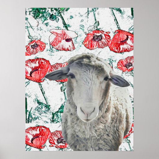 Cute Merino Sheep Animal Red Poppy Flowers Poster (Voorkant)