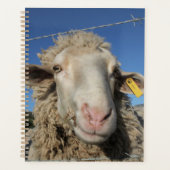 Cute Merino Sheep Head Animal Planner (Voorkant)