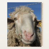 Cute Merino Sheep Head Animal Planner (Achterkant)