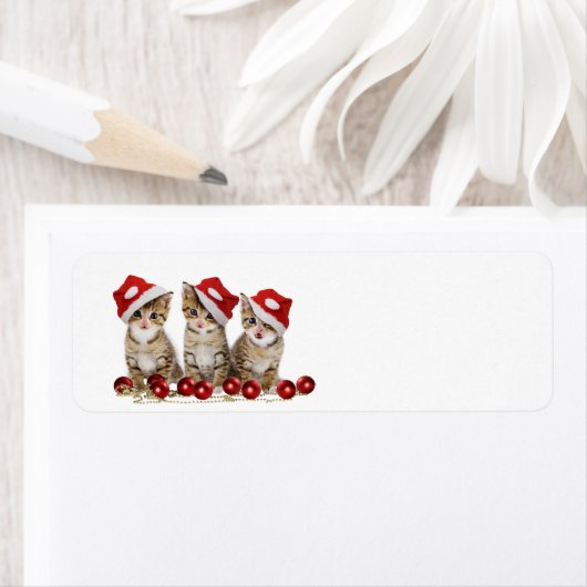 Cute Merry kerst Kittens Etiket (Insitu)