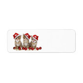 Cute Merry kerst Kittens Etiket (Voorkant)