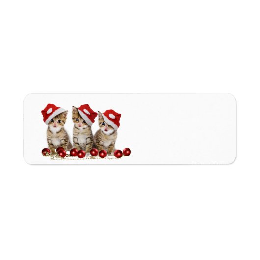Cute Merry kerst Kittens Etiket (Voorkant)