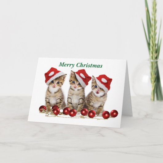 Cute Merry kerst Kittens Feestdagen Kaart (Voorkant)