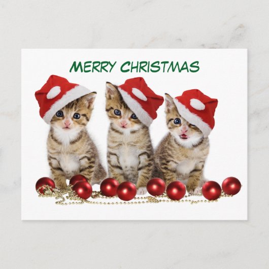 Cute Merry kerst Kittens Feestdagenkaart (Voorkant)