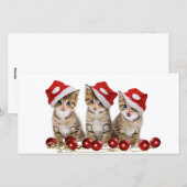 Cute Merry kerst Kittens Feestdagenkaart (Voorkant / Achterkant)