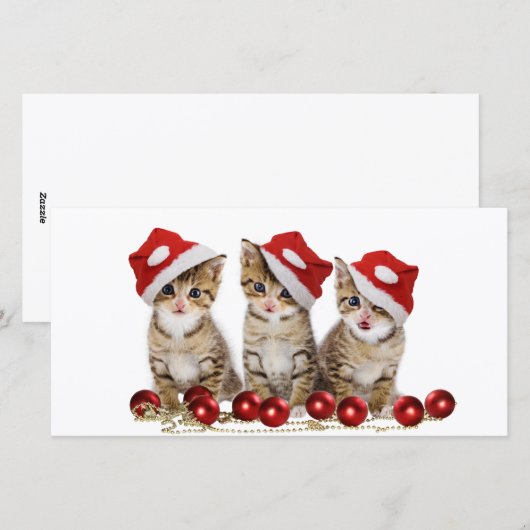 Cute Merry kerst Kittens Feestdagenkaart (Voorkant / Achterkant)