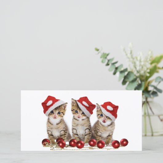 Cute Merry kerst Kittens Feestdagenkaart (Staand voorkant)