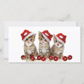 Cute Merry kerst Kittens Feestdagenkaart (Voorkant)