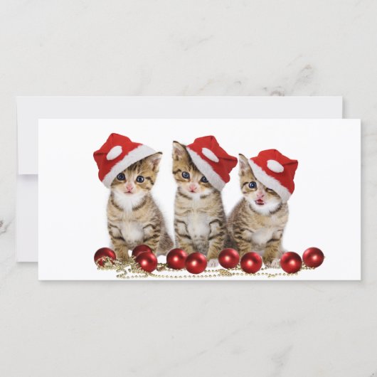 Cute Merry kerst Kittens Feestdagenkaart (Voorkant)