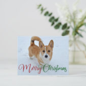 Cute Merry Kerstcorgi met Tail op sneeuwfoto Briefkaart (Staand voorkant)