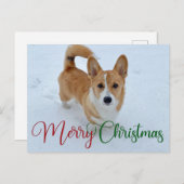 Cute Merry Kerstcorgi met Tail op sneeuwfoto Briefkaart (Voorkant / Achterkant)