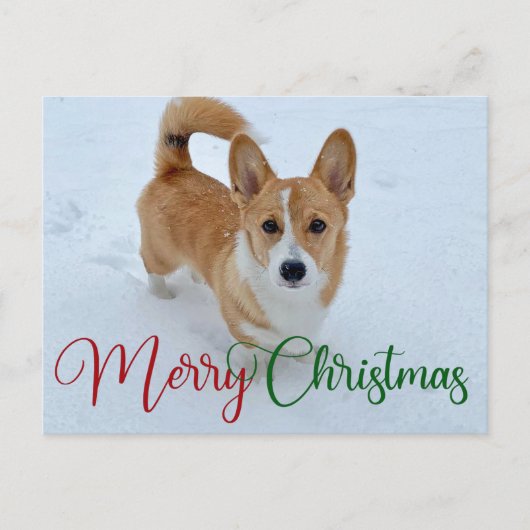 Cute Merry Kerstcorgi met Tail op sneeuwfoto Briefkaart (Voorkant)