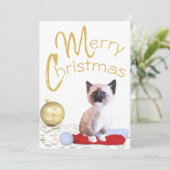 Cute Merry Kerstmis Siamese Kitten Gold Ornament Feestdagenkaart (Staand voorkant)