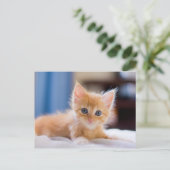 Cute met blauwe ogen briefkaart (Staand voorkant)