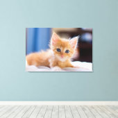 Cute met blauwe ogen canvas afdruk (Insitu (Houten vloer))