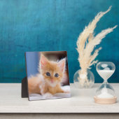Cute met blauwe ogen fotoplaat (Insitu)