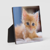 Cute met blauwe ogen fotoplaat (Voorkant)