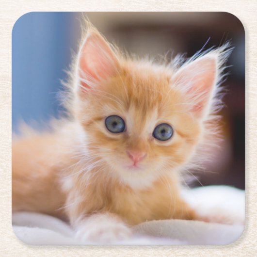 Cute met blauwe ogen kartonnen onderzetters (Voorkant)