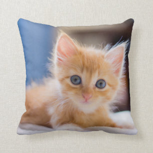Cute met blauwe ogen kussen