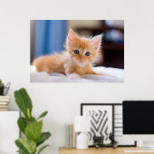 Cute met blauwe ogen poster (Thuiskantoor)